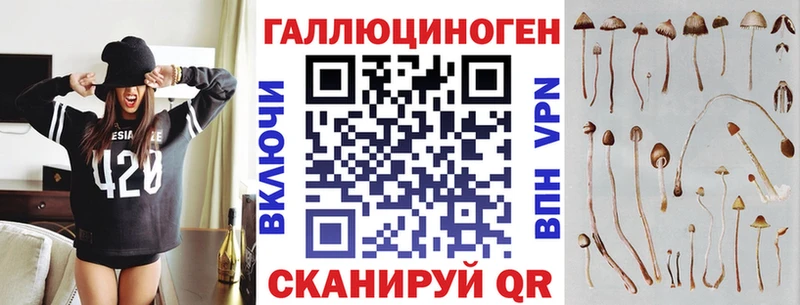 гидра маркетплейс  Астрахань  Псилоцибиновые грибы Psilocybine cubensis  продажа наркотиков 